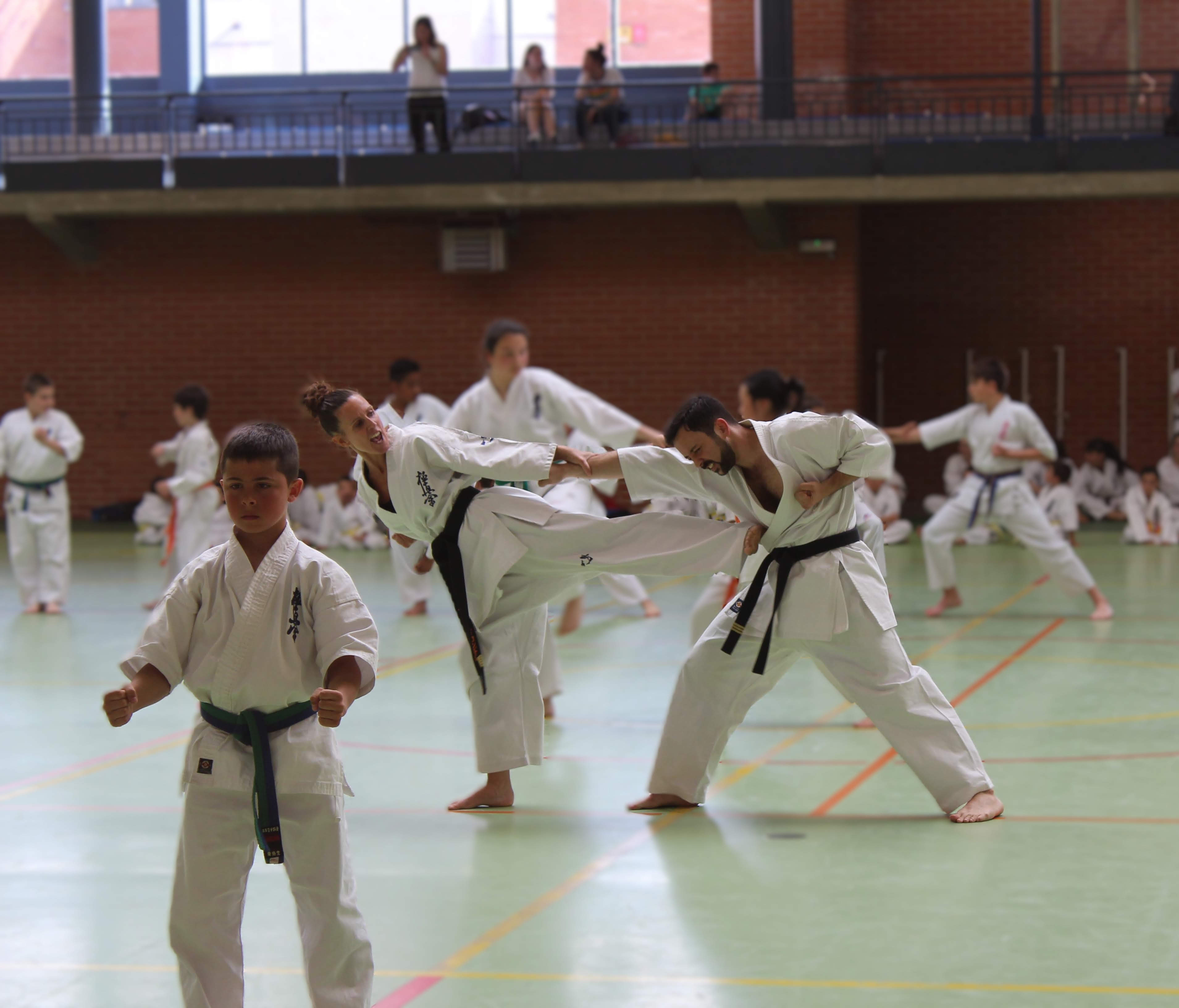 Dojo en acción