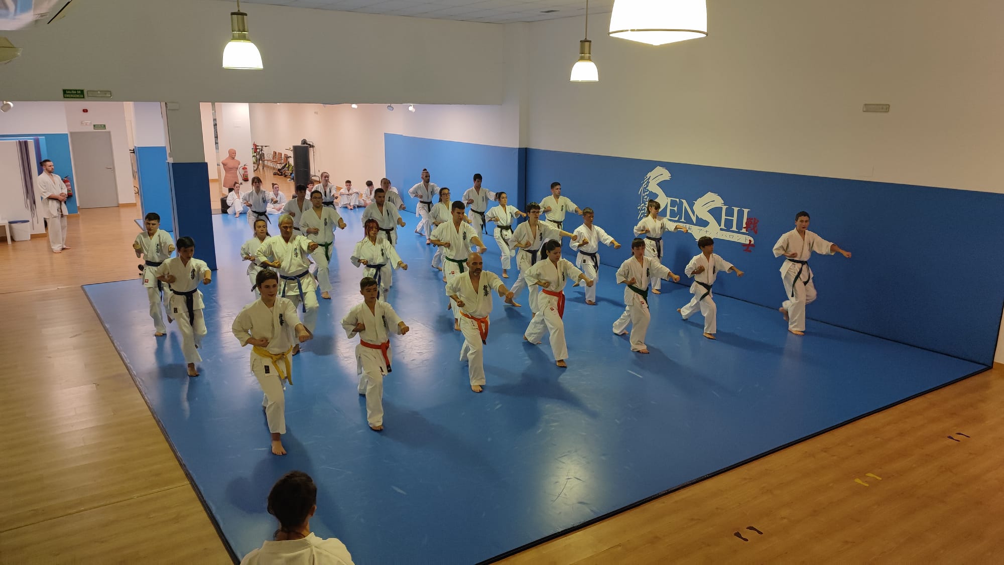 Dojo en acción