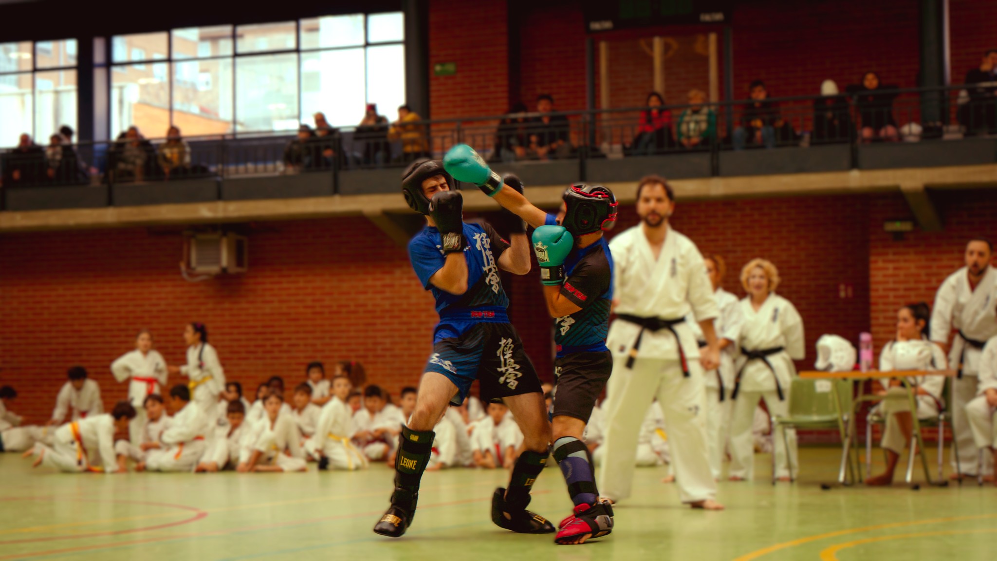 Dojo en acción