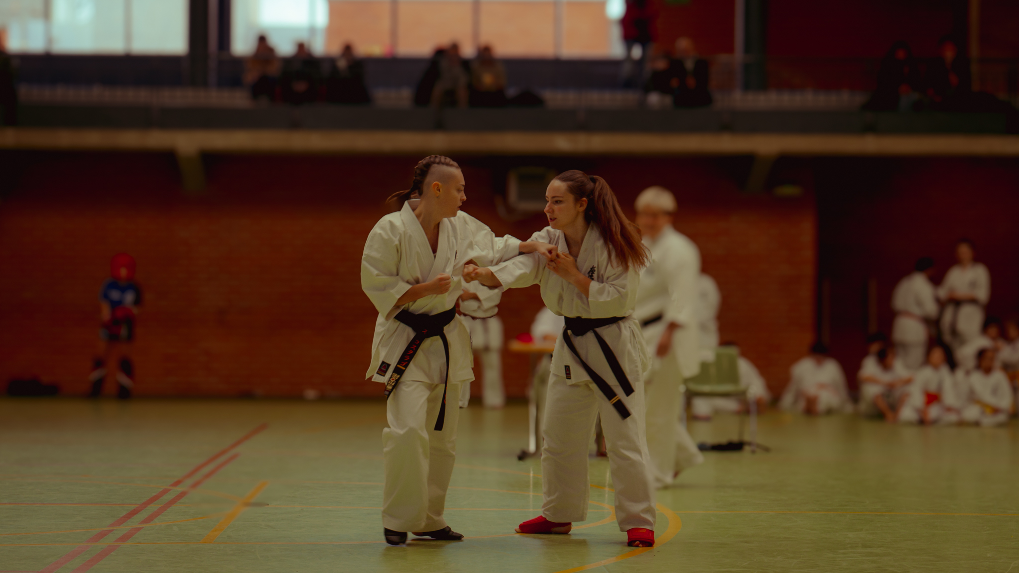 Karate Dojo Senshi